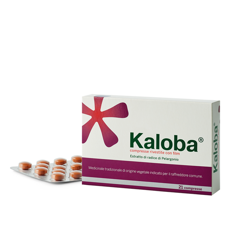 Kaloba film-coated tablets pelargonium root extract