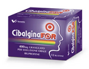 Cibalginafor 400 mg granulato per soluzione orale ibuprofene
