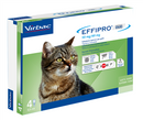 Effipro duo*4pip 1-6kg gatti