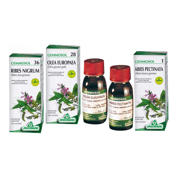 Gemmosol 36 ribes nero macerato glicerico 100 ml