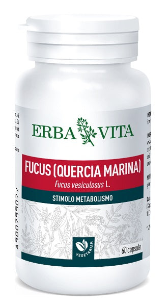 Fucus 60 cápsulas 500 mg