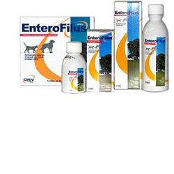 Enterofilus simple feed 250 ml