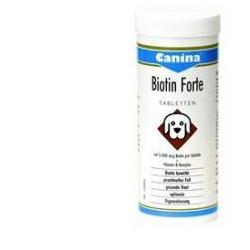 Biotin forte powder 100 g