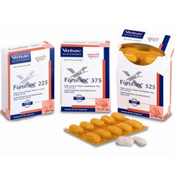 Fortiflex 375 mg 30 comprimidos palatables