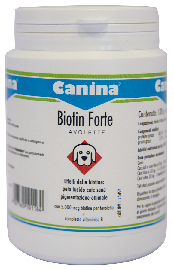 Biotin forte 120 tablets