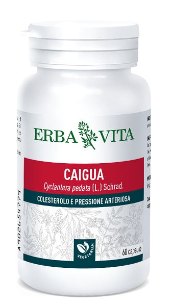 Caigua 60 cápsulas 400 mg