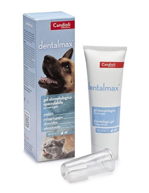 Dentalmax stomatological gel 50 ml