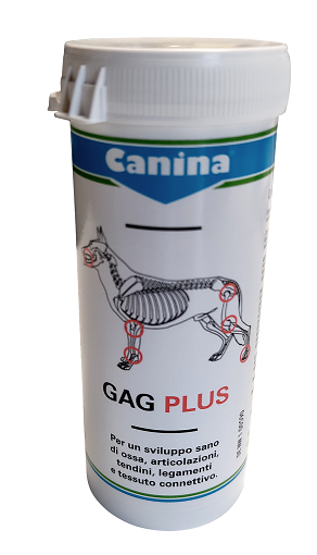 Gag plus 100 g 60 tablets