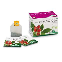 Infuso bio frutta frutti di bosco 20 filtri