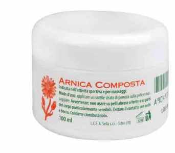 Arnica comp ointment 100 ml