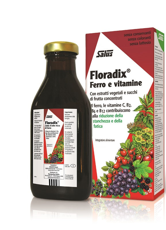 Floradix iron and vitamins 250 ml