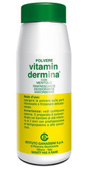 Vitamindermina polvere ment 100 g