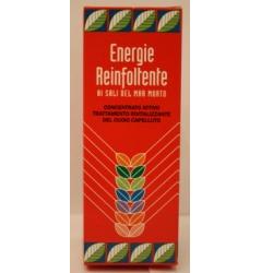 Reposición energética botella 100 ml