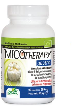 Micoterapia gastro 90 cápsulas en frasco de 53,50 g