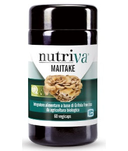 Maitake Fed 60 vegicacapsulas