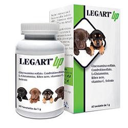 Legart up 60 tablets of 1 g