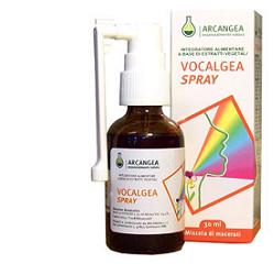 Vocalgea spray soluzionen alcolica 30 ml