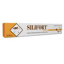 Silifort paste os syringe 15 g