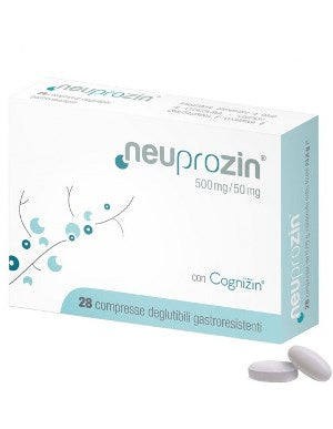 Neuprozin 28 gastro-resistant tablets