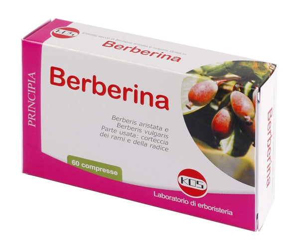 Berberina estratto secco 60 compresse