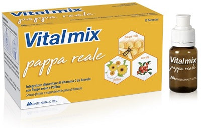 Vitalmix pappa reale 10flaconcini x10 ml s/gl