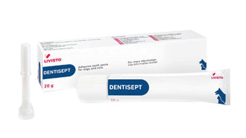 Dentisept toothpaste for oral hygiene of dogs and cats tube 20 g