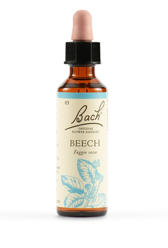 Beech bach orig 20 ml