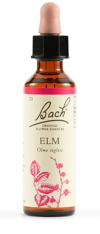 Olmo bach orig 20 ml