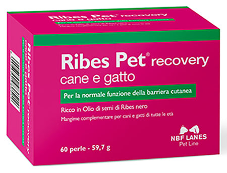 Ribes pet relief blister 60 pearls