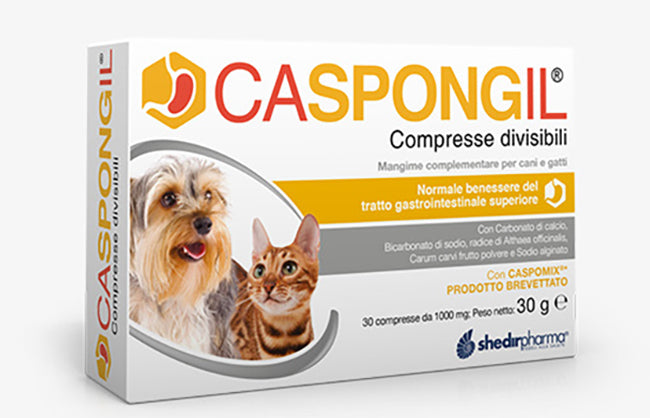 Caspongil 30 divisible tablets