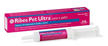 Pasta de grosella pet u litro 30 g