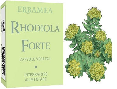 Rhodiola fuerte 24 cápsulas