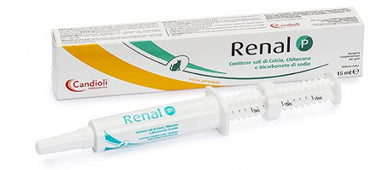 Renal p paste dosing syringe 15 ml