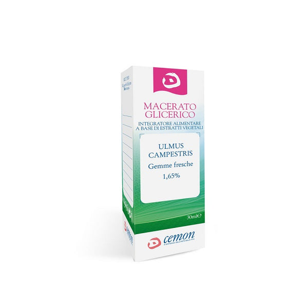 Ulmus campestre gemme macerado glicérico 30 ml