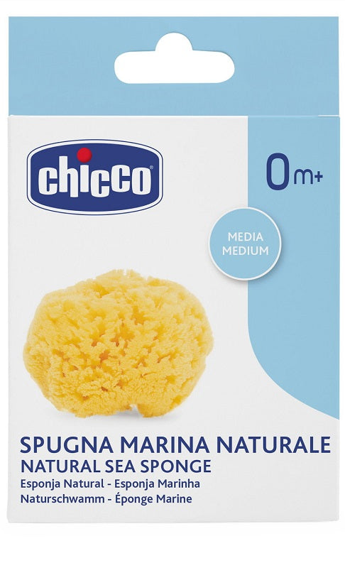 Chicco spugna marina naturale