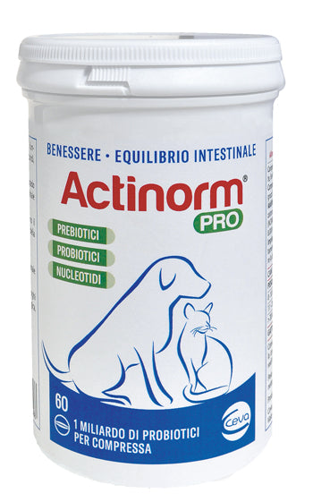 Actinorm pro frasco 60 comprimidos