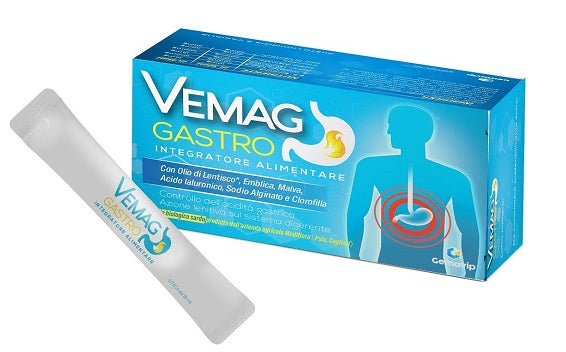 Vemag gastro 20 stick