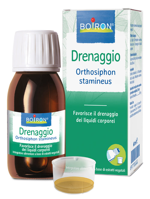 Orthosiphon stamineus extracto hidroalcohólico 60 ml int