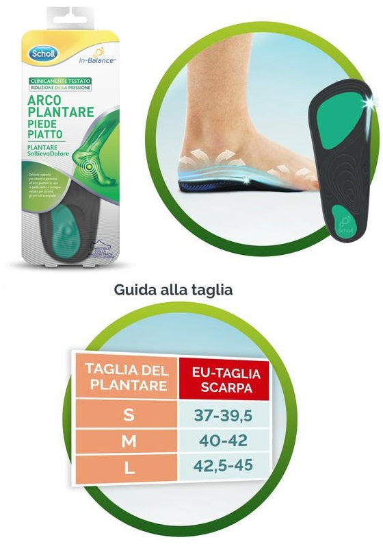 SCHOLL - plantare arco l 2 pezzi