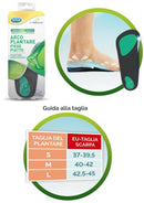 SCHOLL - plantare arco m 2 pezzi