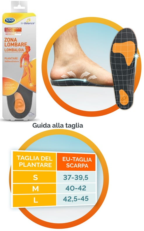 SCHOLL - plantare lombare l 2 pezzi