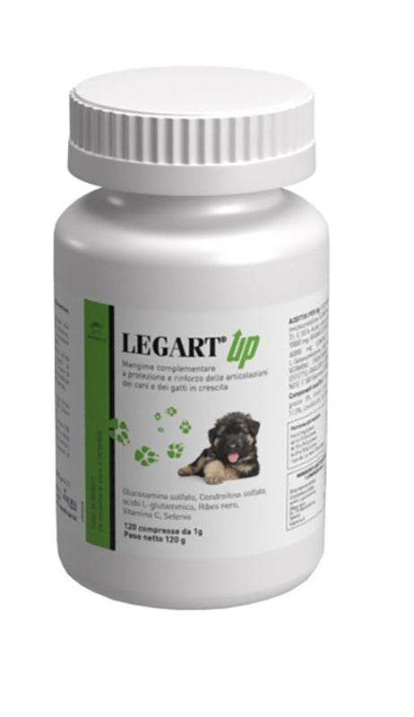 Legart up 120 tablets