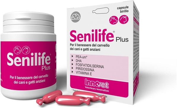 Senilife plus 30 capsule