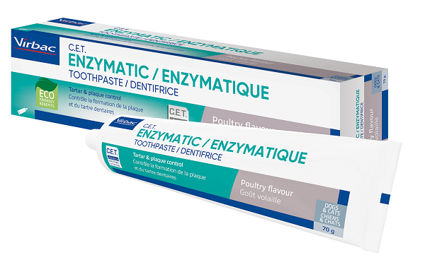 Enzymatic toothpaste 70 g