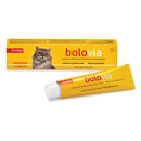 Bolo via pasta gatti 100 g