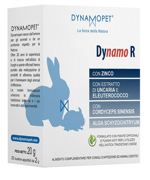 Dynamo r 20 sachets of 2 g