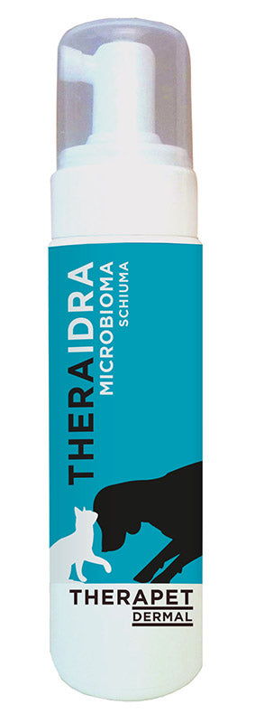 Theraidra microbiome foam 200 ml