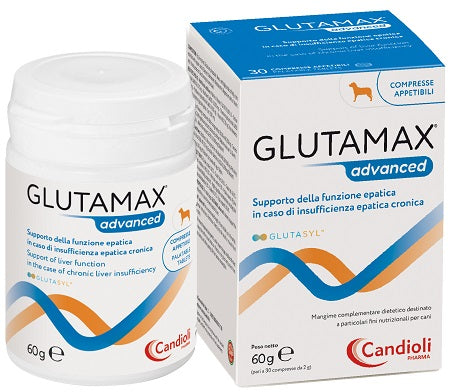 Glutamax avanzado 30 comprimidos