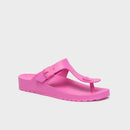 SCHOLL - Bahia flip-flop eva woman bubblegum 36