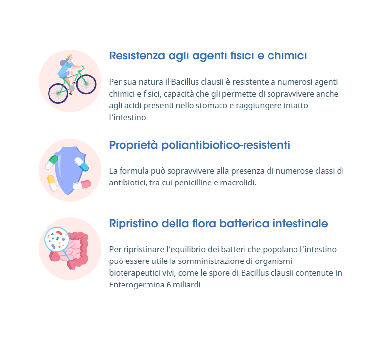 ENTEROGERMINA - 6 miliardi/2 g polvere orale - 9 bustine orosolubili